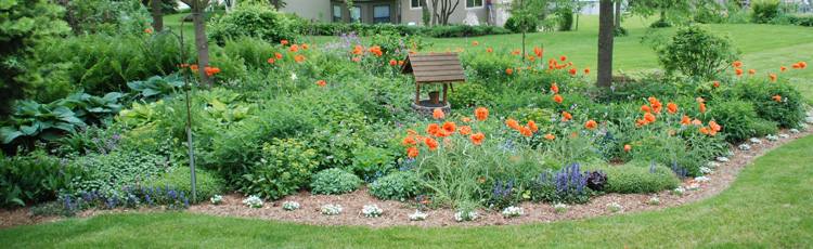 2012_295_MGM_Gardening_with_your_Neighbor_Shared_Gardens.jpg