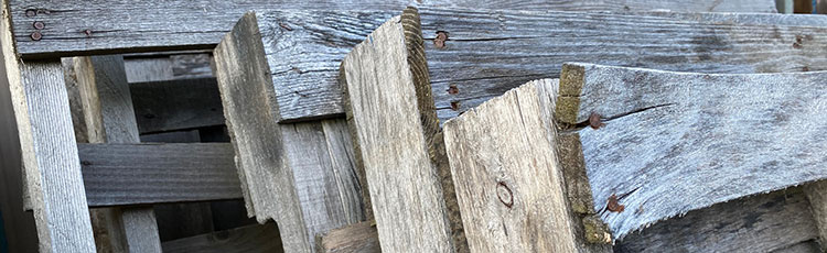 121120_DIY_Potting_Benches_from_Pallets-THUMB.jpg