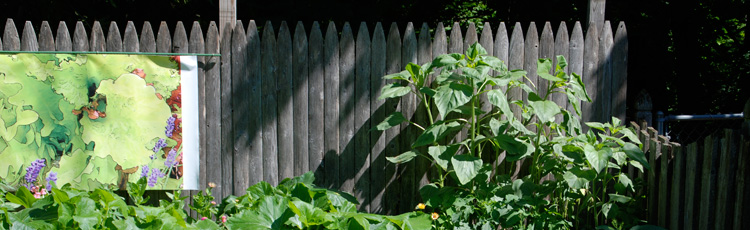 Using-Green-Treated-Lumber-Near-the-Garden-THUMB.jpg