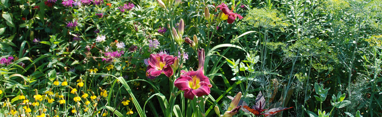 010617_Planning_a_Flower_Garden.jpg