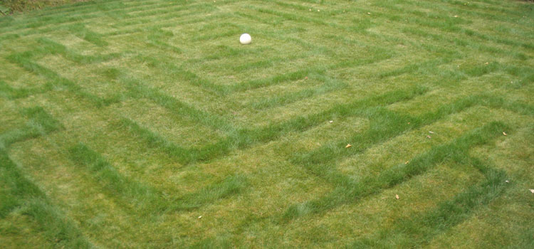 Lawn-maze-complete.jpg