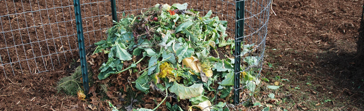 111615_Affordable_Composting.jpg