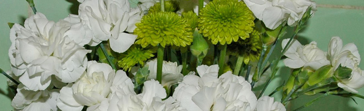 2012_307_MGM_Selecting_and_Caring_for_Cut_Flowers.jpg