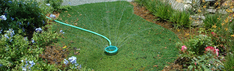 WATERING-YOUR-LAWN-AND-GARDEN.jpg