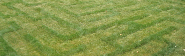 grow-and-mow-a-lawn-maze-thumb.jpg