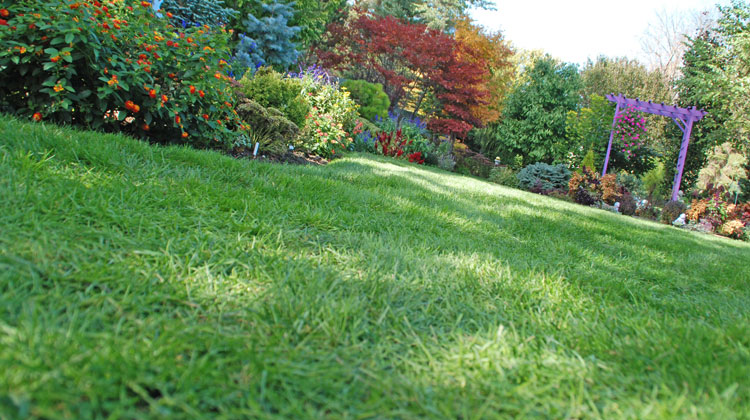 Keep-Your-Lawn-Green-and-Healthy-All-Season-Long.jpg