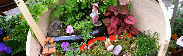 2012_355_MGM_Plant_a_Bit_of_Magic_Fairy_Garden.jpg