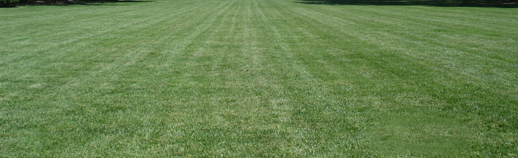 Fertilizing-a-Large-Lawn.jpg