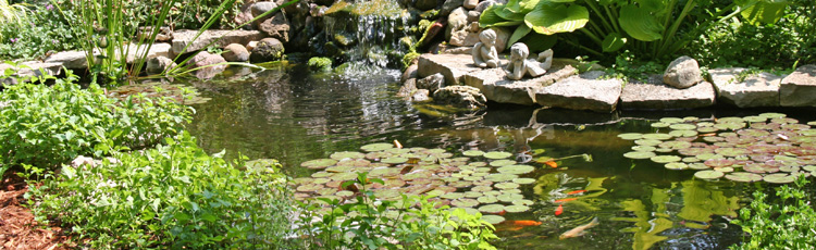 060115_Algae_Control_in_Water_Gardens.jpg