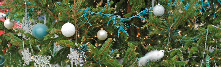 2011_274_MGM_Living_Christmas_Tree.jpg