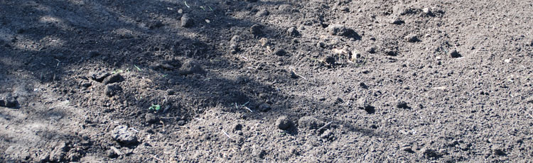 Amending-Clay-Soil.jpg