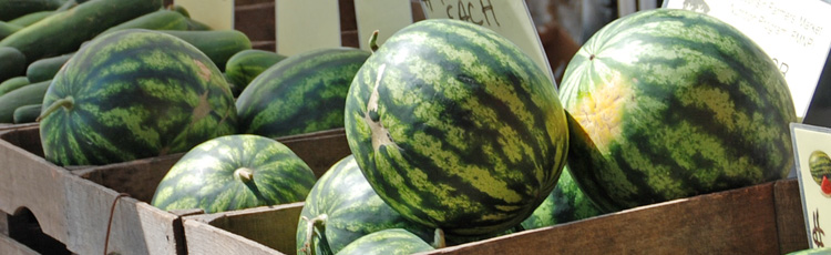Seedless-Watermelon-THUMB.jpg