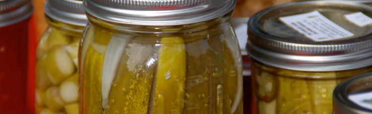 2013_505_MGM_Grow_Your_Own_Pickles_Celebrate_National_Pickle_Week.jpg