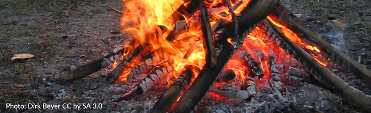 Fire-Pit-Ashes.jpg
