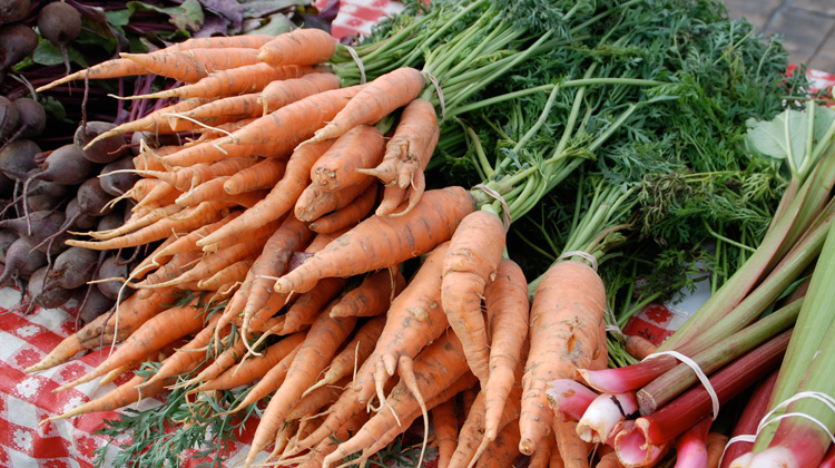 Deformed-and-Bitter-Carrots.jpg