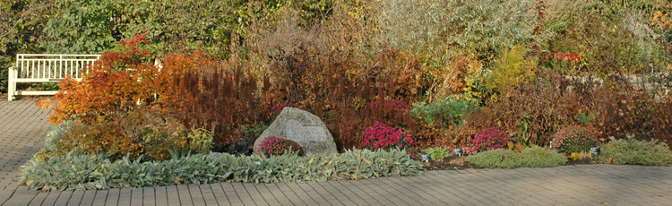 2011_254_MGM_Fall_Care_for_Perennials_Let_Them_Stand.jpg