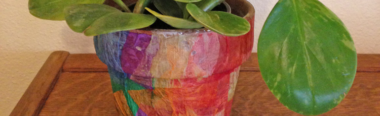 122515_Recycle_Wrapping_Paper_into_Decorative_Pots.jpg