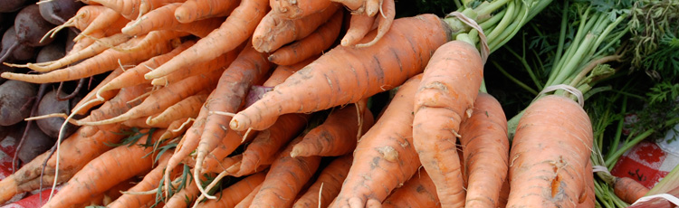 Deformed-and-Bitter-Carrots-THUMB.jpg