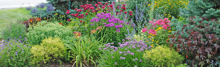 011119_4_Tips_for_Selecting_the_Best_Plants_for_your_Garden.jpg