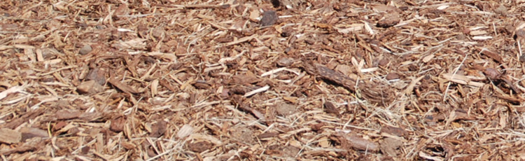 2013_546_MGM_Selecting_the_Best_Mulch.jpg