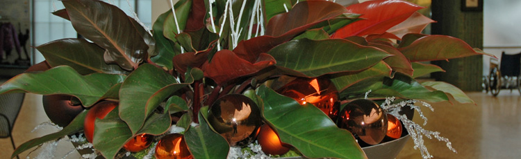 2011_277_MGM_Reduce_Holiday_Stress_with_Plants.jpg