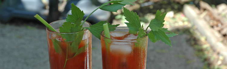 010114_National_Bloody_Mary_Day_Ode_to_Lovage.jpg