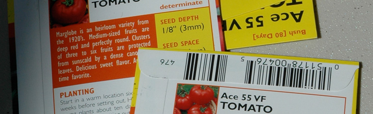 2011_153_MGM_Check_Stored_Seeds_for_Viability.jpg