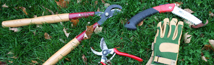 031815_Gardeners_Tool_Kit_Pruning_Tools.jpg