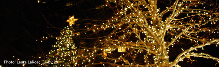 2010_119_MGM_Light_Up_the_Landscape_with_Holiday_Lights.jpg