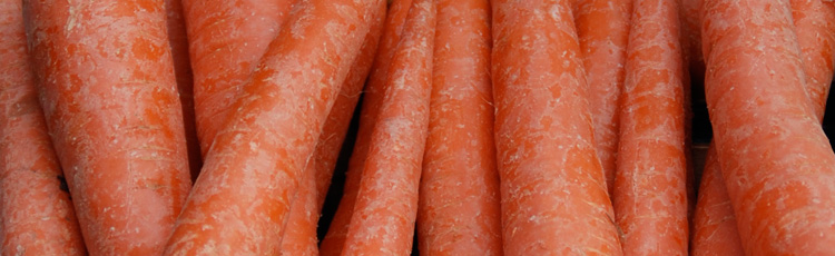 Grow-Tasty-Carrots-THUMB.jpg