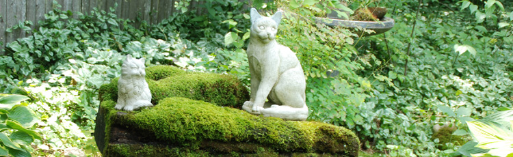 MGMV09_Embracing_Moss_as_a_Groundcover.jpg